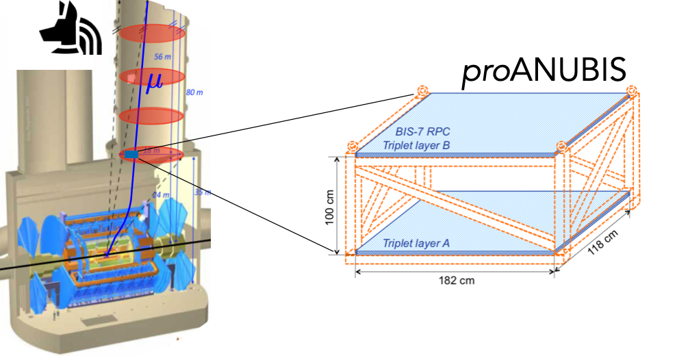 proANUBIS detector_concept proANUBIS detector_concept