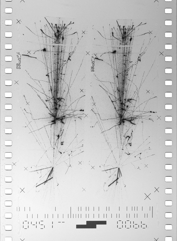 A stereoscopic image of a proton anti-proton annihilation event in the UA5 streamer chamber.