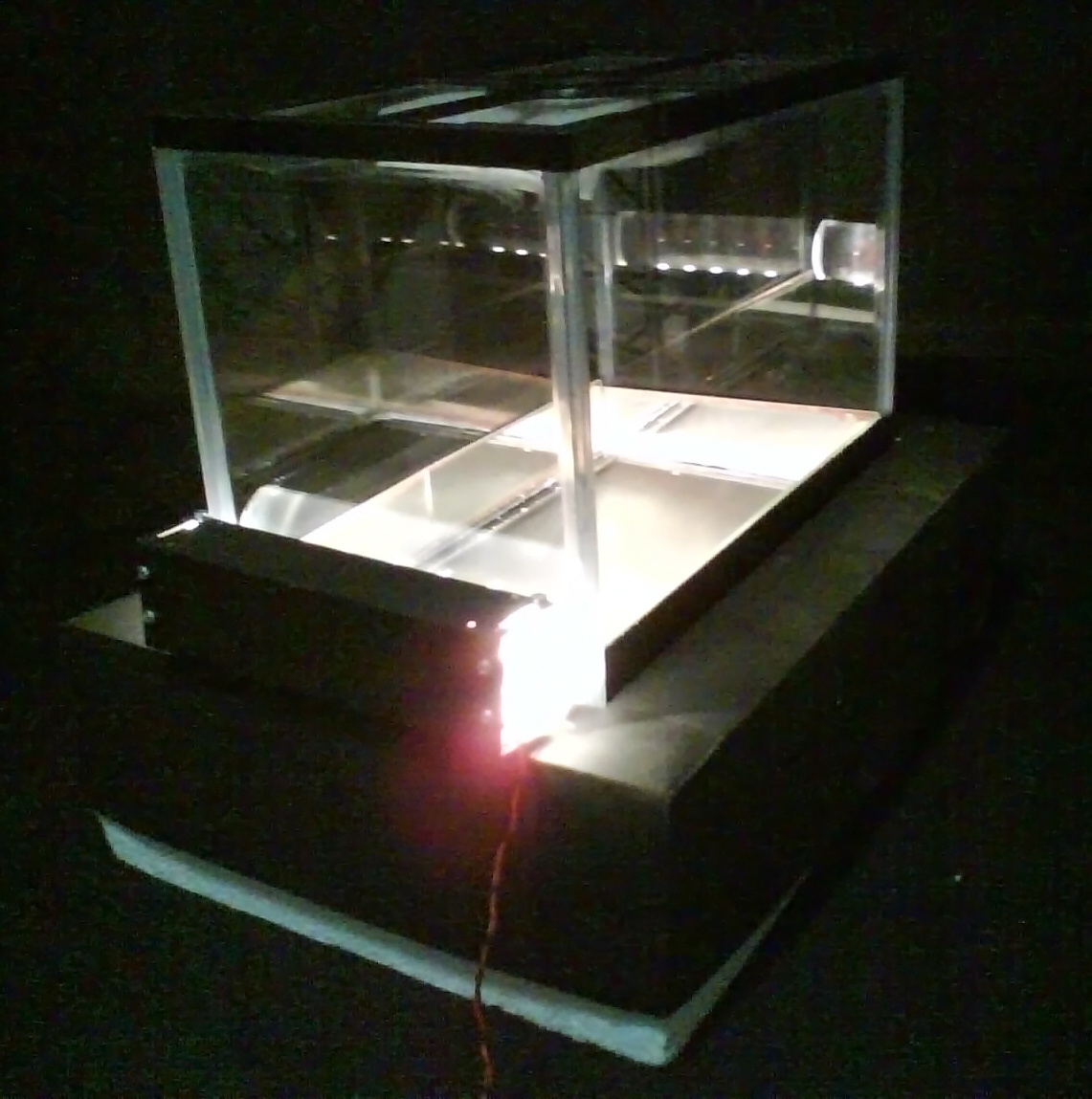 Cloud Chamber
