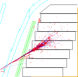 endcap electromagnetic calorimeter in GOPAL