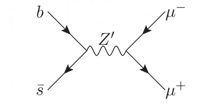 Beyond the Standard Model Feynman Diagram