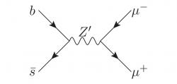 Feynmann Diagram