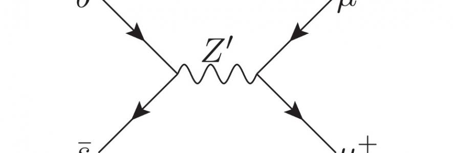 Feynmann Diagram